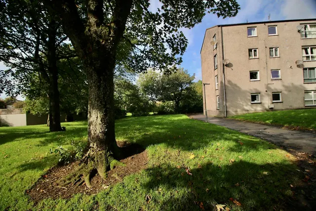 Cedar Road, Cumbernauld, G67 3AS, photo 1