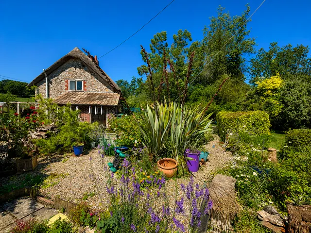 Farway, Colyton, EX24, photo 2