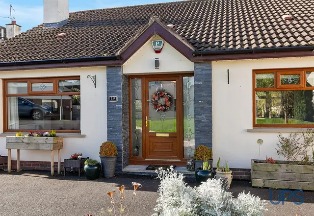 Bramble Wood, Crumlin, BT29, photo 3