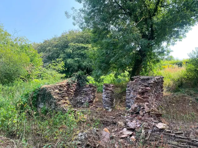 Maundown, Nr Wiveliscombe, TA4, photo 2