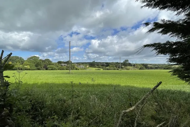 Longage Hill, Rhodes Minnis, CT4, photo 2