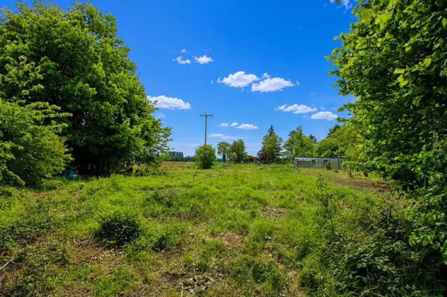 White Roding, Dunmow, CM6, photo 2