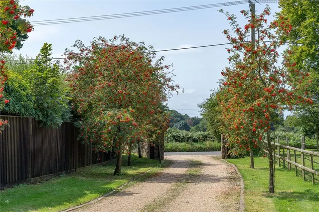 Photo 2 — Roe Downs Road, Medstead, Alton, Hampshire, GU34 5LG
