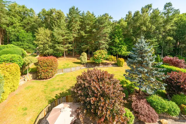 Hurst Park, Midhurst, GU29, photo 3