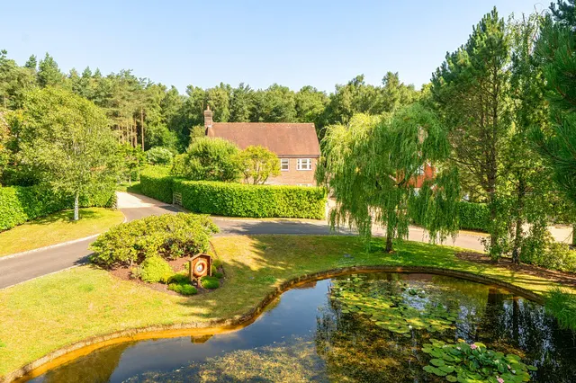 Hurst Park, Midhurst, GU29, photo 1