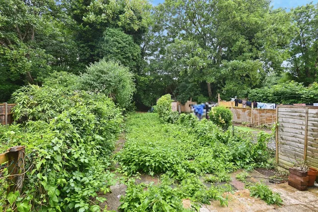 Photo 3 — Boundary Road, Chatham