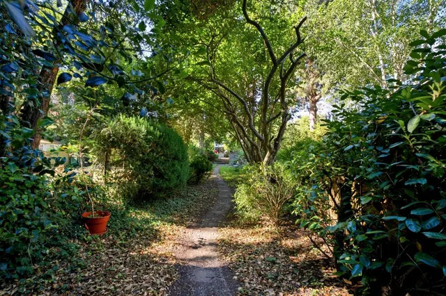 Prospect Road, St Albans, AL1, photo 3