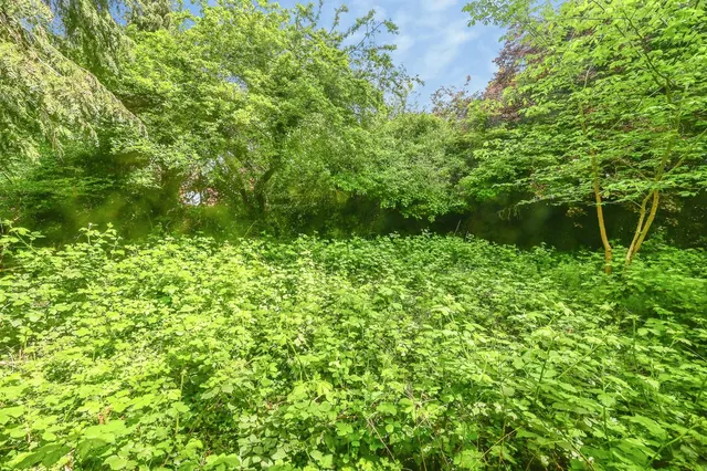 Baroncroft Road, Liverpool, L25, photo 3