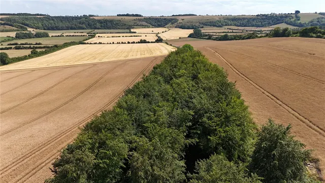 Land At West End Farm, West End, Ebbesbourne Wake, Wiltshire, SP5 5JX, photo 1