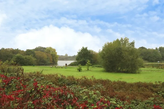 Water Avens Close, Cardiff, CF3, photo 2