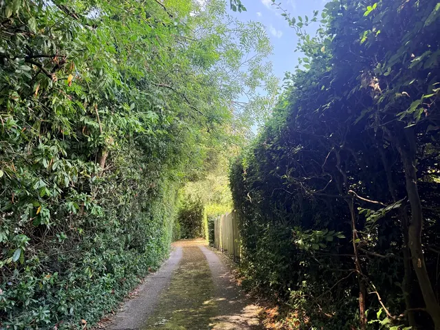 Old Hall Road, Littleover, photo 2