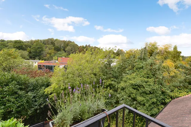 Station Road, Godalming, GU7, photo 3