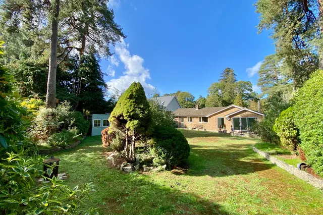 Ashley Heath, Ringwood, BH24, photo 3
