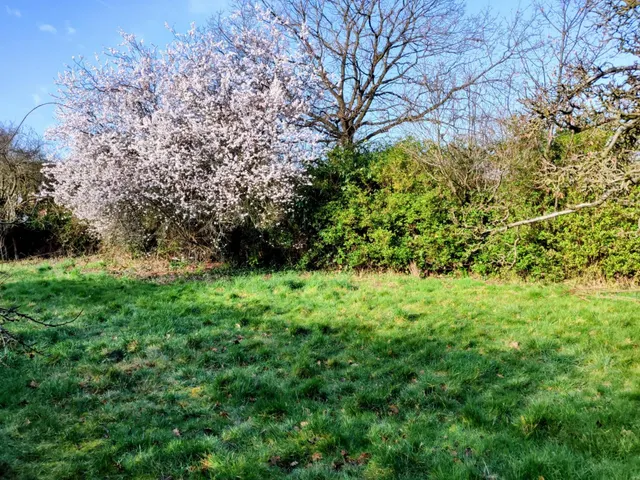 Saughall Road, Chester, CH1, photo 2