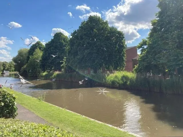 Spring Lane, Worcester, WR5, photo 3