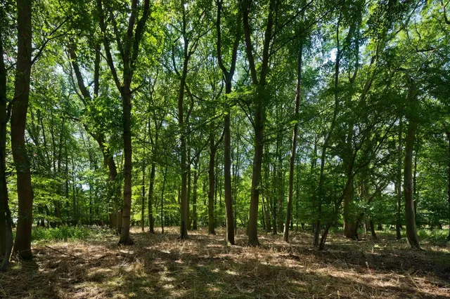 Photo 3 — Kingswood Bury Farm, Clothall, Baldock, Hertfordshire, SG7 6RW