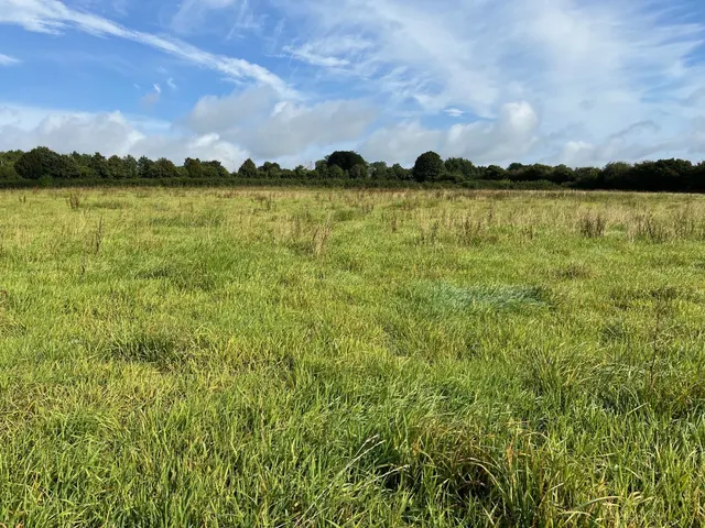Photo 3 — Bayford, Wincanton, Somerset, BA9 9NN