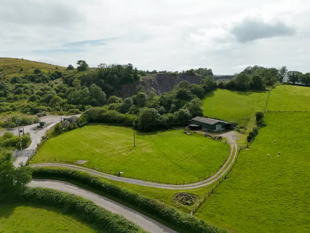 Trap, Llandeilo, SA19, photo 1