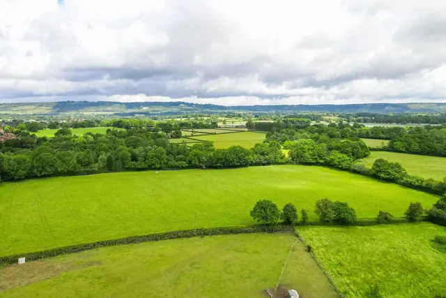 Bunce Common Road, Leigh, RH2, photo 1