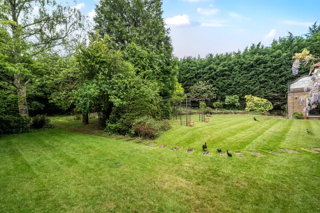 Photo 2 — Lower Road, Leatherhead, KT22
