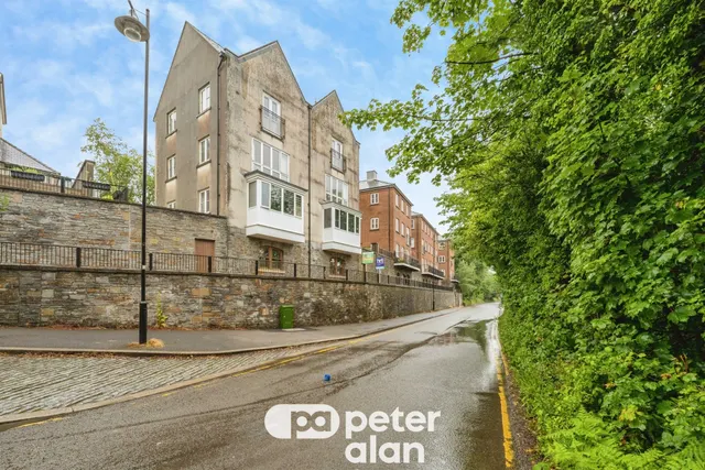 Meadow Bank NEATH, SA10, photo 1