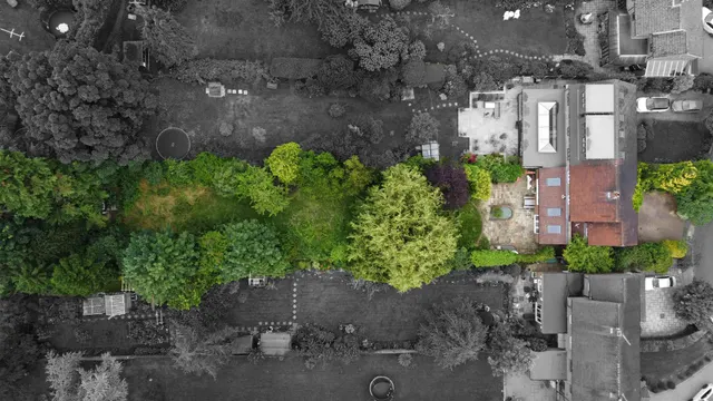 Photo 2 — Wellfields, Loughton