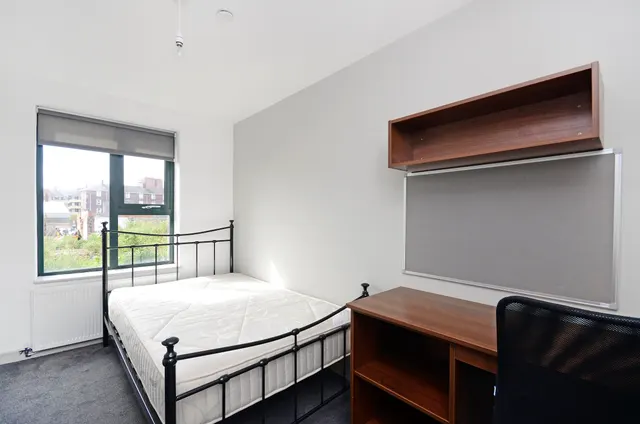 Dun Fields, Sheffield, S3, photo 1