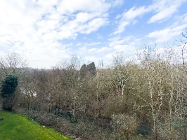 Lakeside Rise, Blackley, M9, photo 2