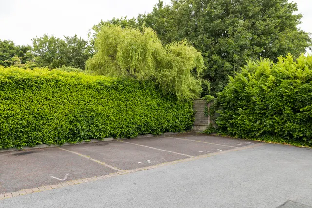 Grove Lane, Standish, WN6, photo 3