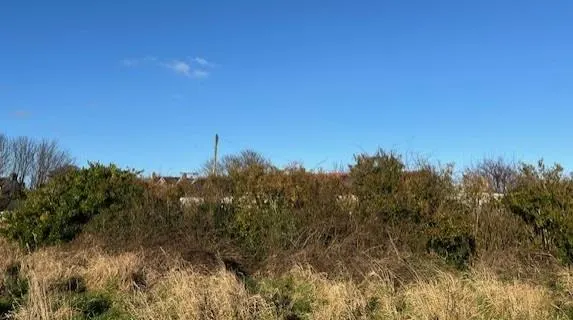 Photo 2 — Graingers Road, Hornsea