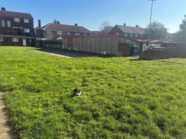 Maybury Road, Barking, IG11, photo 3