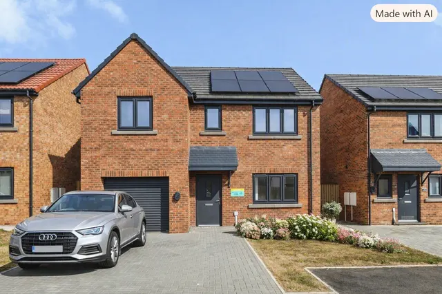 Woodside Meadows, Hartlepool, TS25, photo 1