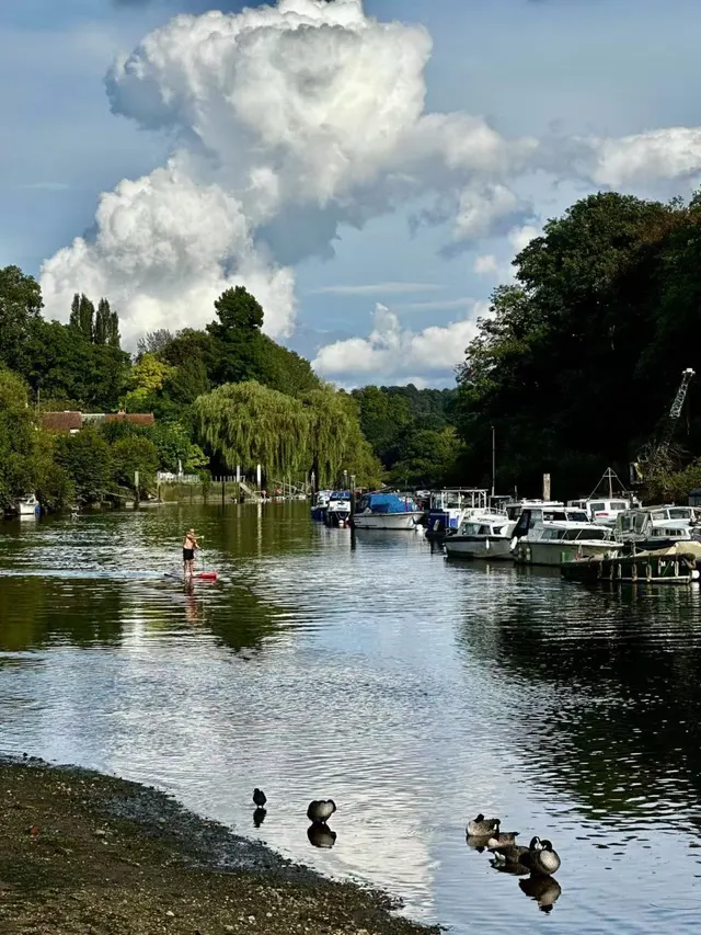 Twickenham Square, Twickenham, TW1, photo 2
