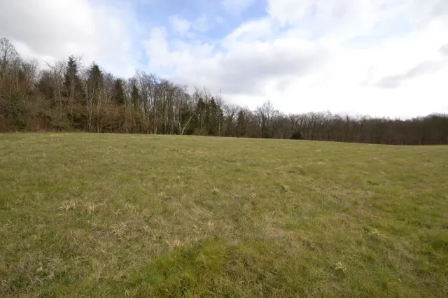 Photo 2 — london lane , east horsley, Surrey, K...