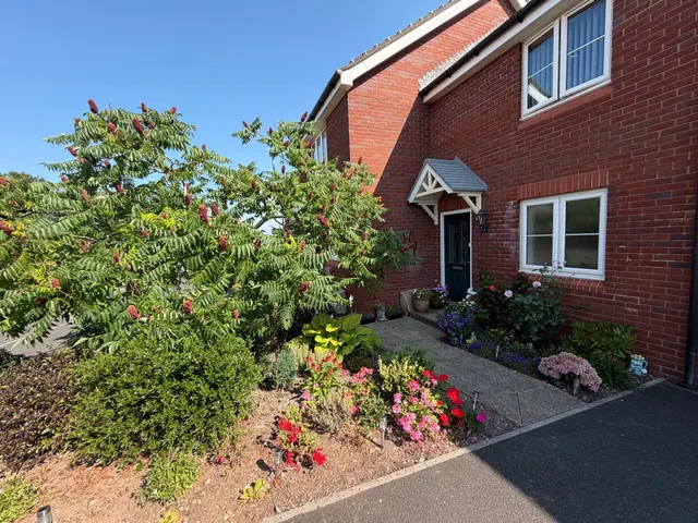 Wilkins Drive, Paignton, photo 3