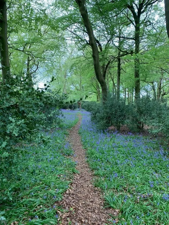 Checkendon, Reading, RG8, photo 3