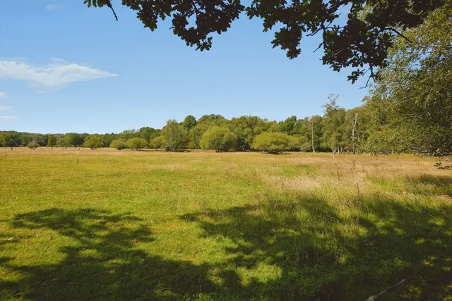New Road, Landford, SP5, photo 3