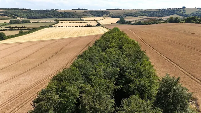 Lot 1 Land At West End Farm, West End, Ebbesbourne Wake, Wiltshire, SP5 5JX, photo 1