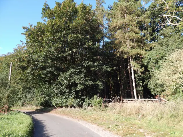 Photo 2 — Sunnyside, Bergh Apton, Norwich, Norfolk, NR15 1BT