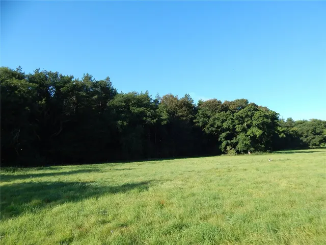 Sunnyside, Bergh Apton, Norwich, Norfolk, NR15 1BT, photo 1