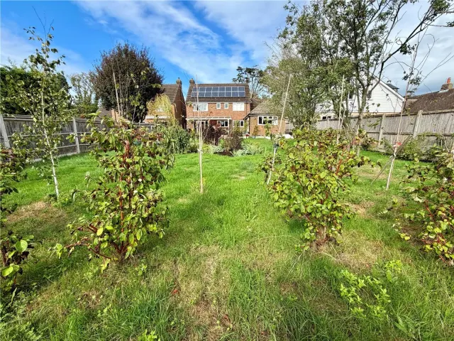 Western Road, Hailsham, BN27, photo 2