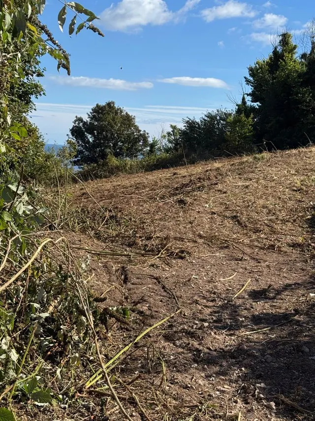 Photo 3 — Smugglers Lane, Holcombe, Dawlish