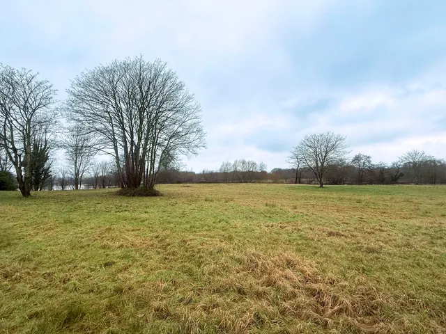 Photo 2 — The Holmbury, Tilthams Corner Road, Bramley, Guildford, Surrey, GU5 0BT