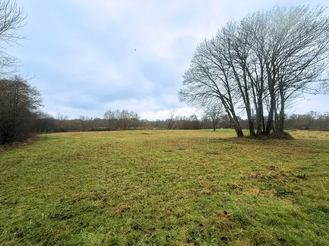 Photo 3 — The Holmbury, Tilthams Corner Road, Bramley, Guildford, Surrey, GU5 0BT
