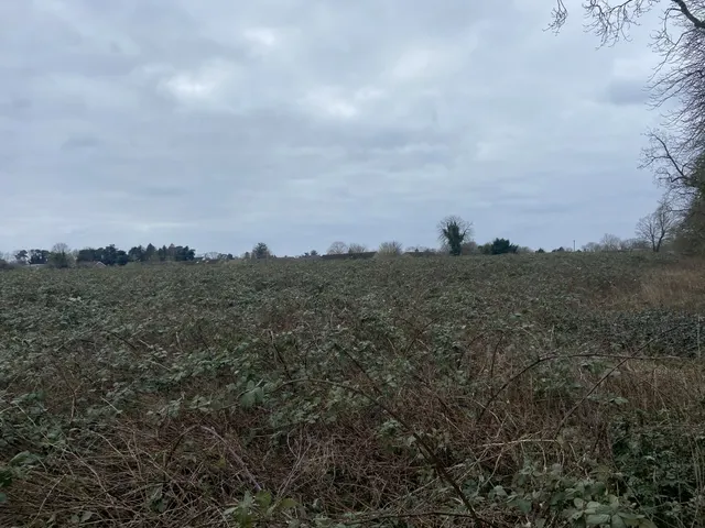 Barr Drive, Lakenheath, Brandon, photo 1