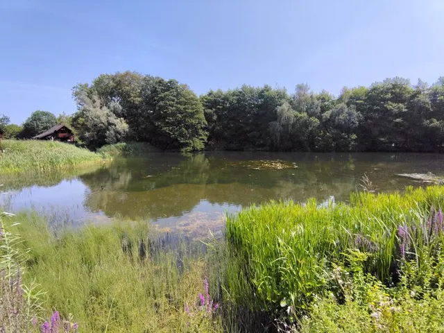 Photo 2 — Henley Road Harleyford Estate, Marlow SL7 2SL