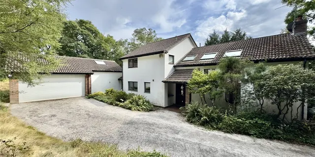 Caldy Wood, Wirral, CH48, photo 1