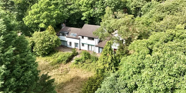 Caldy Wood, Wirral, CH48, photo 2