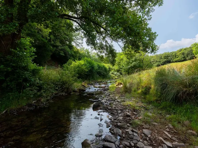 Photo 3 — The Whole | Lyndown Farms Estate, Lynton, Devon, EX35 6LE