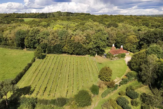 Photo 3 — Witherenden Hill, Burwash, Etchingham, East Sussex, TN19 7JN